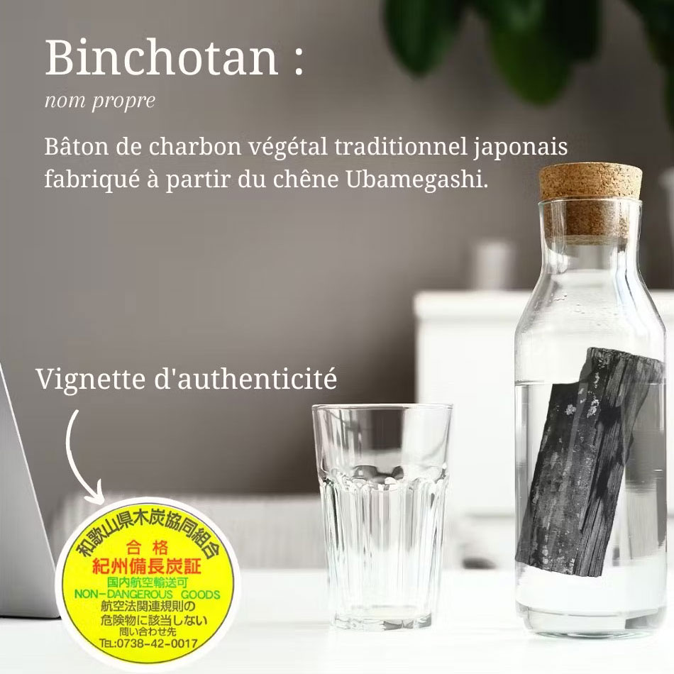 Lot de 3 Charbons de bois Binchotan filtre à eau 100% naturel